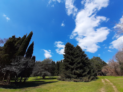 University Botanical Garden Ecopark Varna — fotografia 3