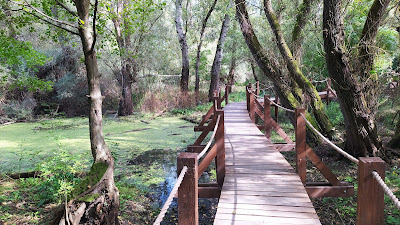 Educational trail - Oborín