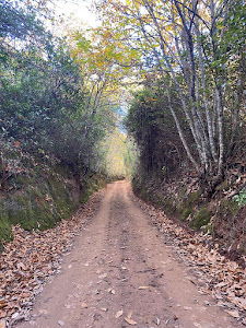 Sendero de los Castañares — fotografia 5