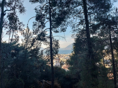 Dasillio — fotografia 3