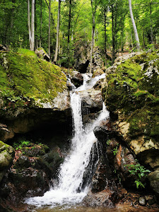 Cascada Vaidei