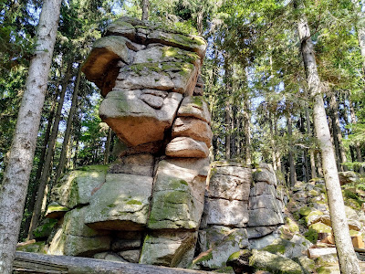 Observation tower Cow Mountain — fotografia 4
