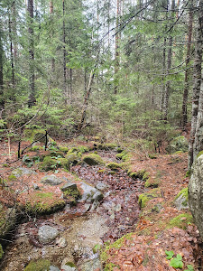 Demyanishka River eco-trail — fotografia 4