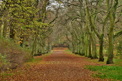Volkspark Schönholzer Heide — fotografia 5