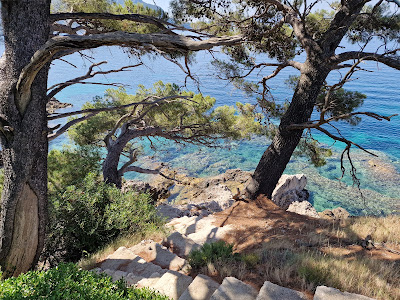 beach Dranče — fotografia 5