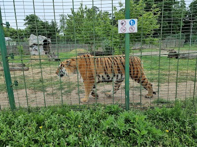 Grădina Zoologică Oradea — fotografia 3