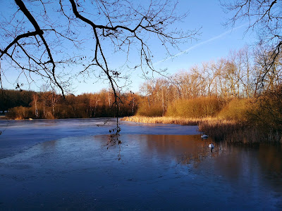 Milíčovská naučná stezka 1 — fotografia 3