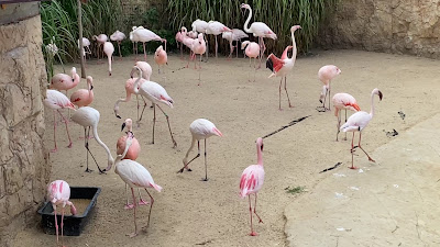 ZOO EkoPark — fotografia 2