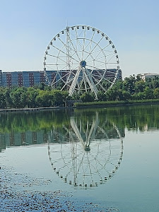 Lacul Tei — fotografia 3