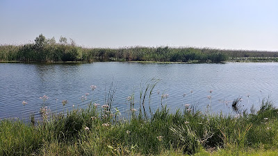 Lacul Parcheş