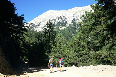 Taygetus — fotografia 3