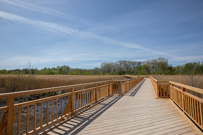 Lobau — fotografia 4