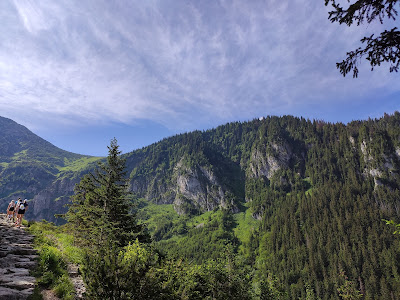 Szlak pieszy żółty — fotografia 3