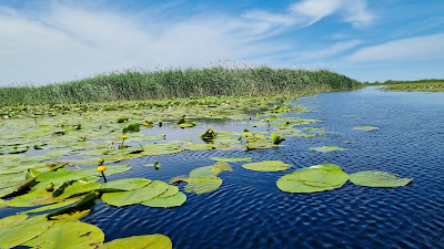 Lacul Isăccel