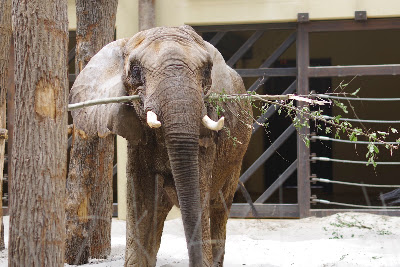 Národná zoologická záhrada Bojnice
