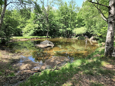 Arboretum — fotografia 5