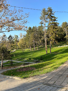 Slana Banja Sports and Recreation Complex — fotografia 5