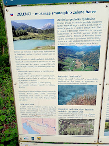 Zelenci — fotografia 4