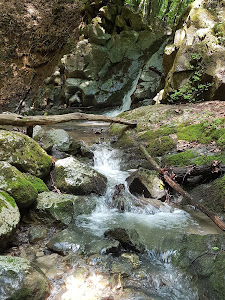 Cheile Borzești — fotografia 3