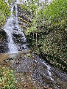 Gorbeia Natural Park — fotografia 5