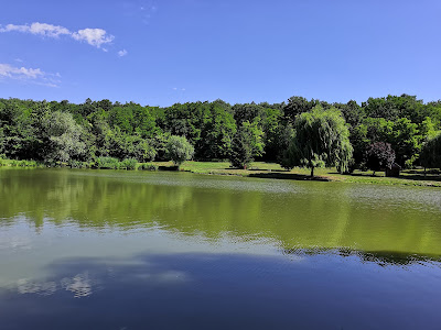 Olaszi horgásztó — fotografia 5