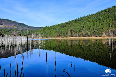 Lacul Cuejdel