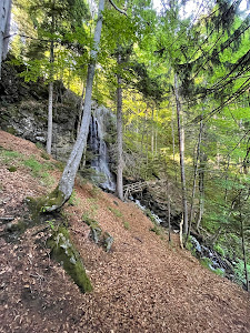 Waterfall Slap Skalca — fotografia 5