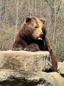 Tierpark Stadt Haag — fotografia 4