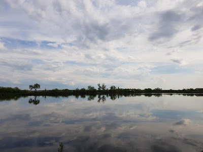 Delta Gruiului