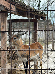 Zoo vrt Vrnjci — fotografia 3