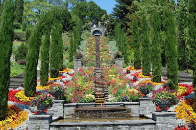 Mainau — fotografia 3