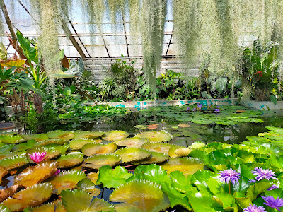 Comenius University Botanical Garden — fotografia 4