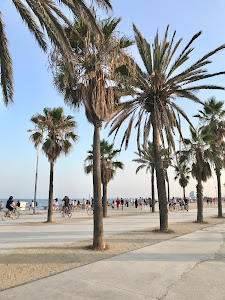 Playa de la Nova Mar Bella — fotografia 5