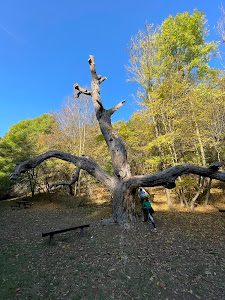 Koloska Valley — fotografia 4