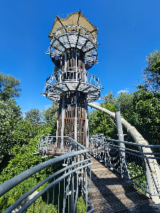 Lombkorona Sétány — fotografia 3