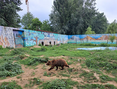 Grădina Zoologică Târgoviște — fotografia 3