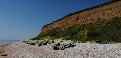 Plaja Pescăruș — fotografia 2