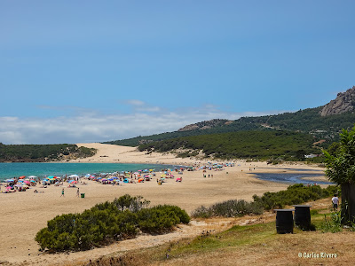 Playa Bolonia — fotografia 4