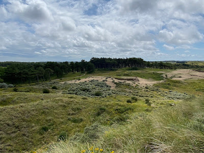 Nationaal Park Zuid-Kennemerland — fotografia 3