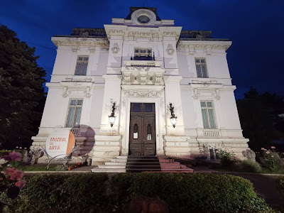 Muzeul Județean de Artă "Ion Ionescu-Quintus" — fotografia 3
