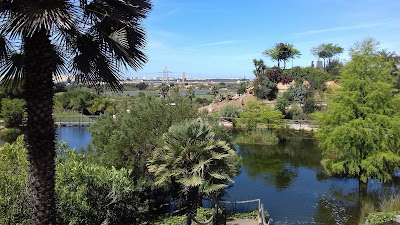 botánico José Celestino Mutis Park — fotografia 4