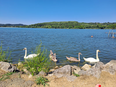 Árnyas Part Szabadstrand