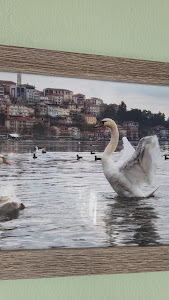 Παραδοσιακόν - Ταβέρνα — fotografia 2