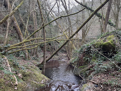 Ruta dels Arbres de Vallcàrquera — fotografia 4