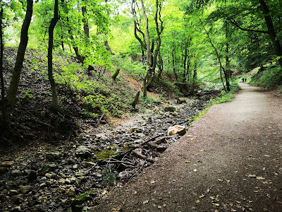 Cuha-völgyi pihenőpark és erdei tanösvény — fotografia 3