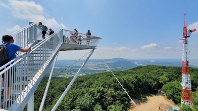 Devínska Kobyla Observation Tower — fotografia 5