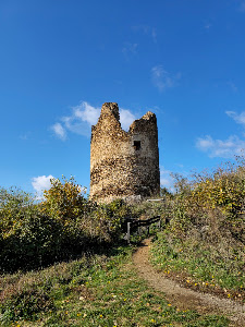 Frushka Gora National Park — fotografia 5