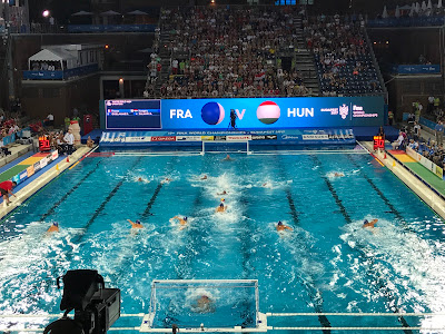 Alfred Hajos National Aquatics Complex — fotografia 5