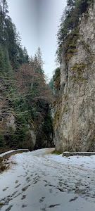 Prăpăstiile Zărneștiului — fotografia 3