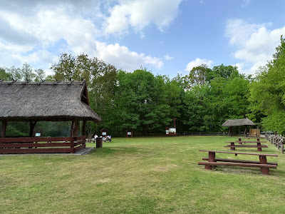 Glade with recreational place — fotografia 3